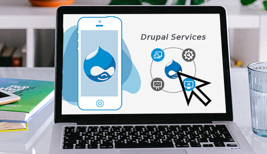 Why Drupal CMS is a Beloved Choice for Web Developers: A Look into its Powerful Features and Community Support.